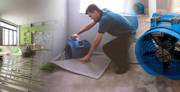 Water Damage Restoration Fort Worth Mold Removal